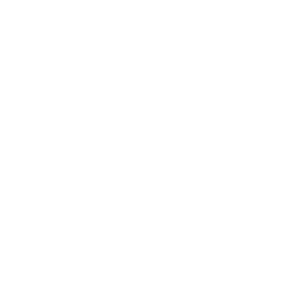 Toro-Asociados